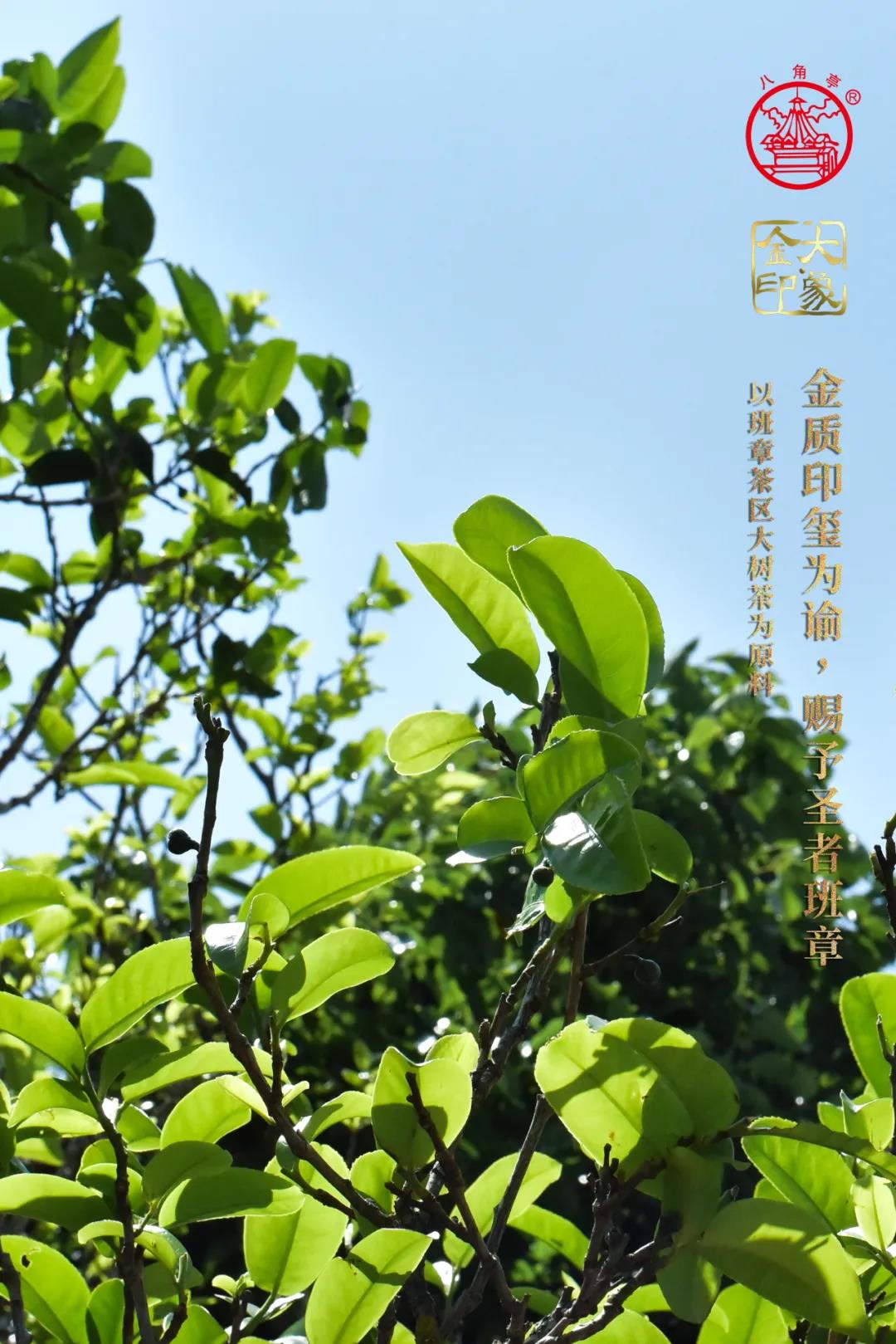 微信图片_20210906145901.jpg